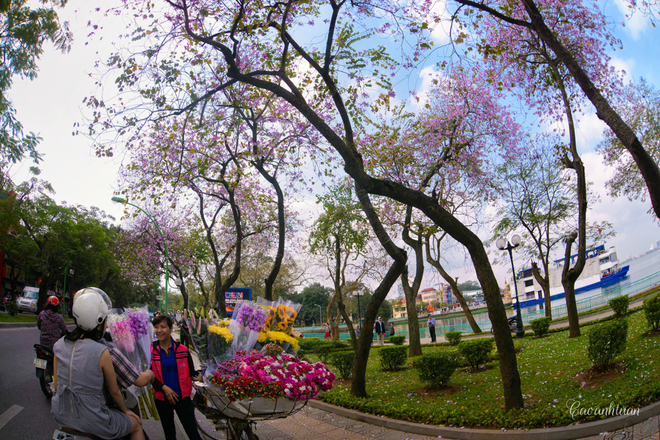 DSC-7952-1425285120_660x0