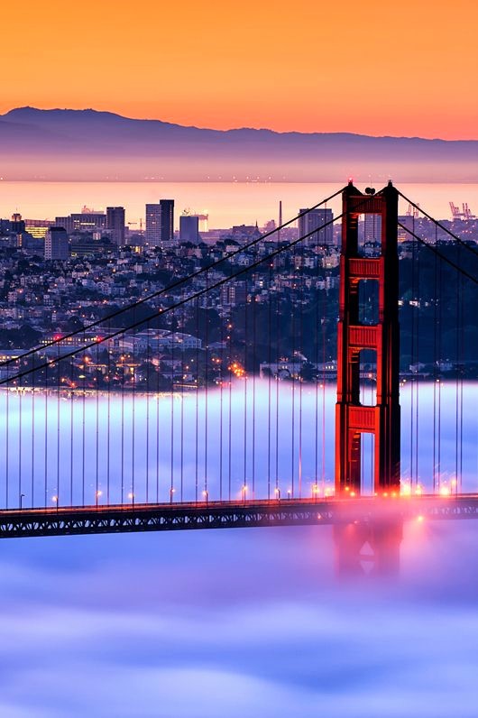 ve may bay di san fransico